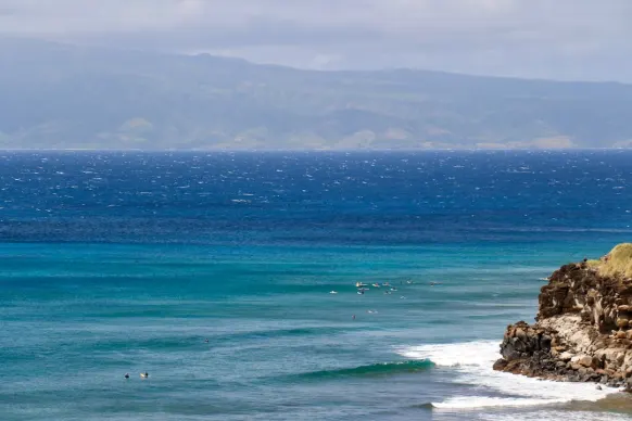 Казино Ту Фат Лейдис Бинго Поддръжка